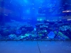 Dubai aquarium